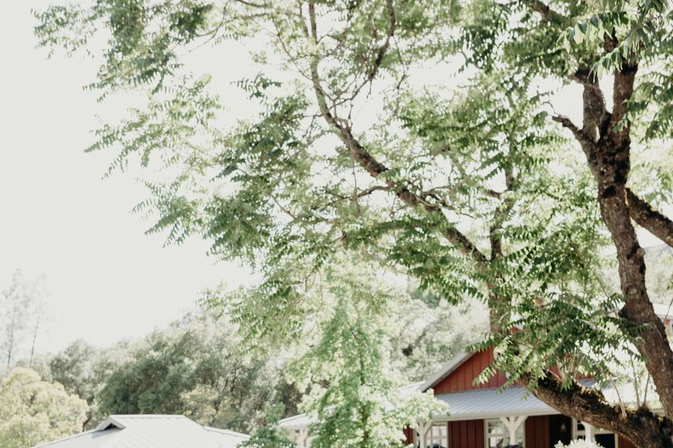 First dance in Woodland, CA