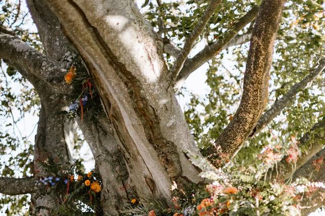 Jill Hoyle Photography