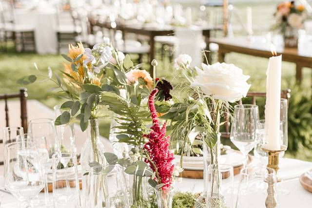 Jill Hoyle Photography