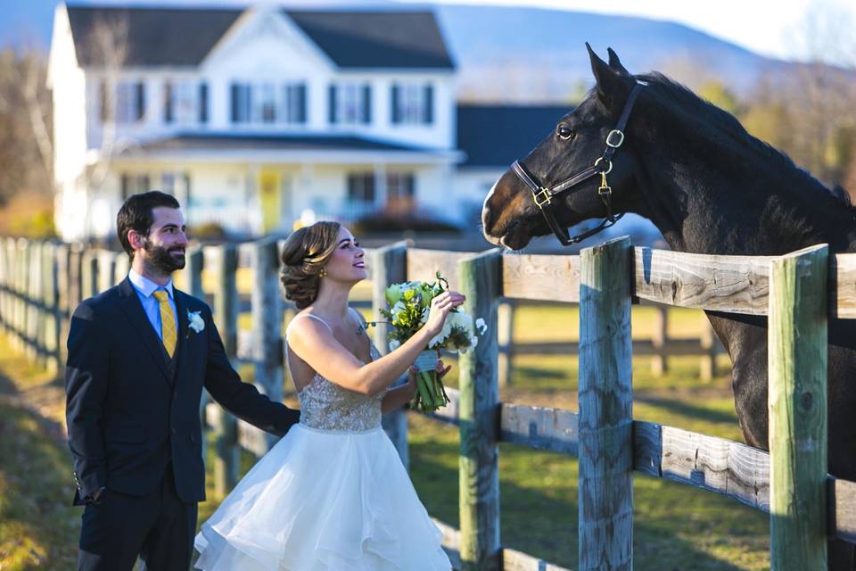 The bride and the horse
