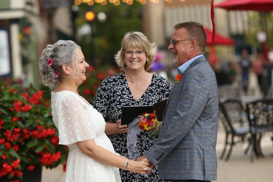 Fikes Holly Battle Alley