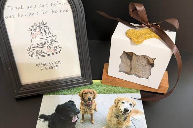 Bakery boxes