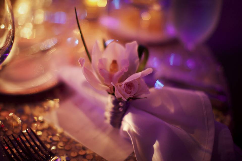 Bluebell Events