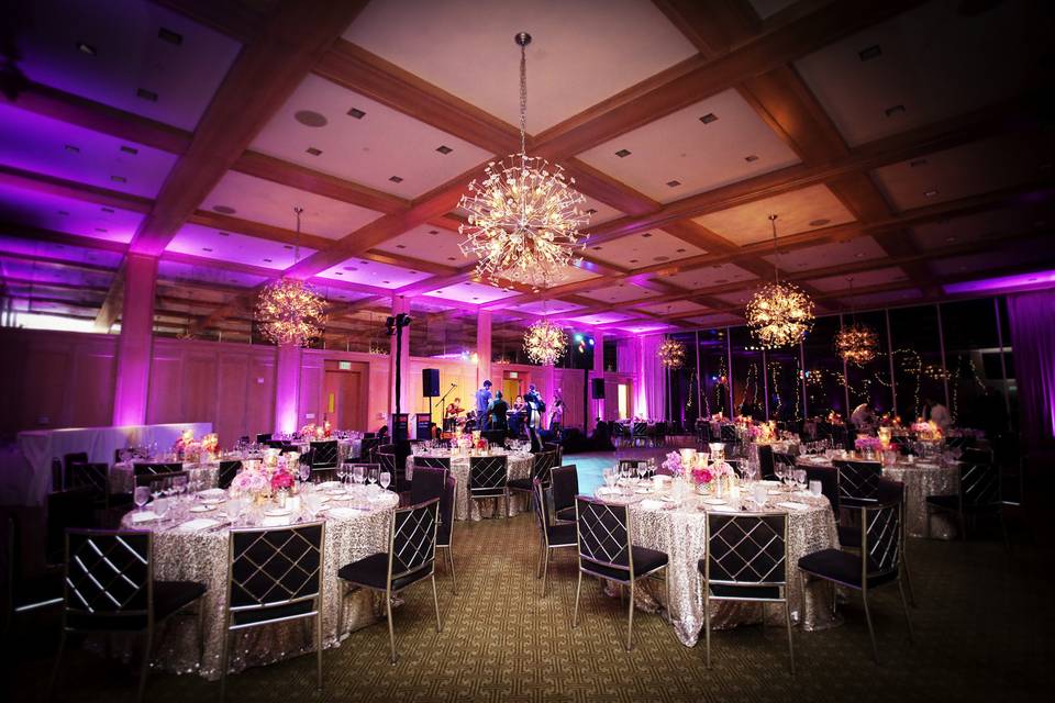 Bluebell Events