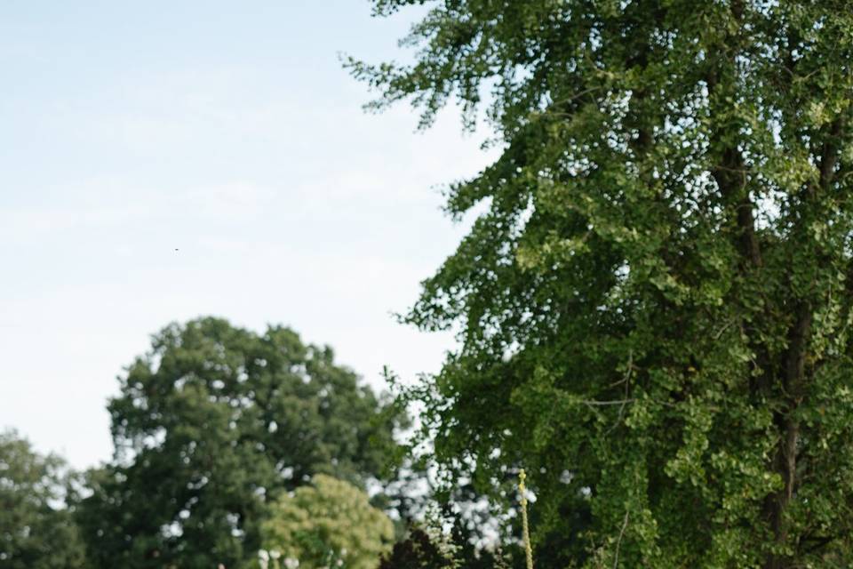 NC Wedding Photographer