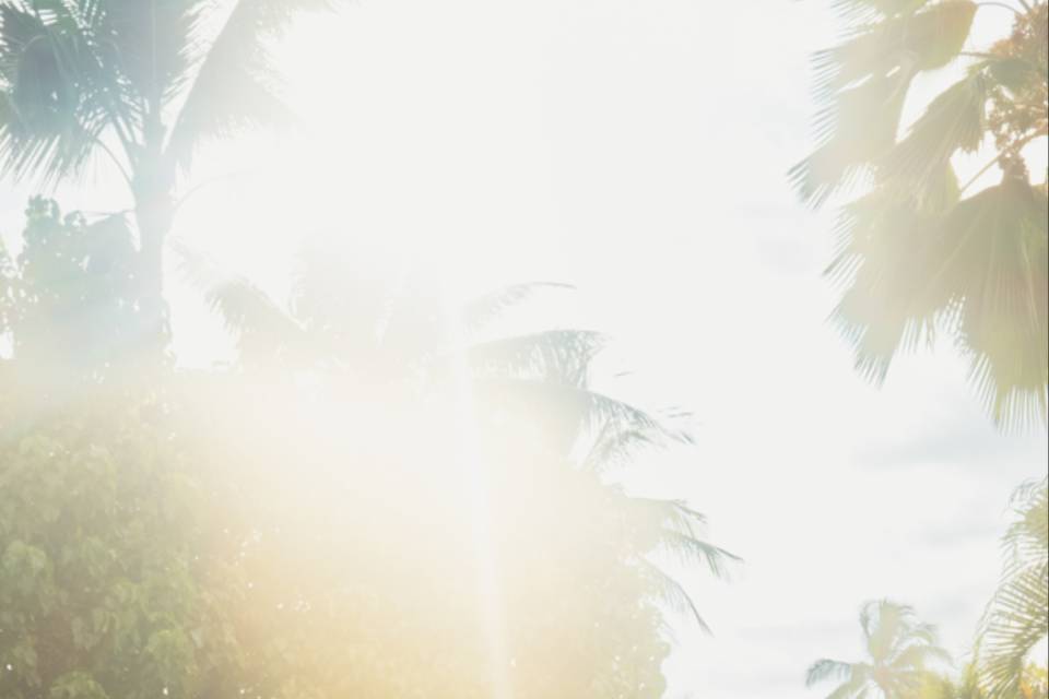 Screenshot 2026-07-07 135353 (1).png