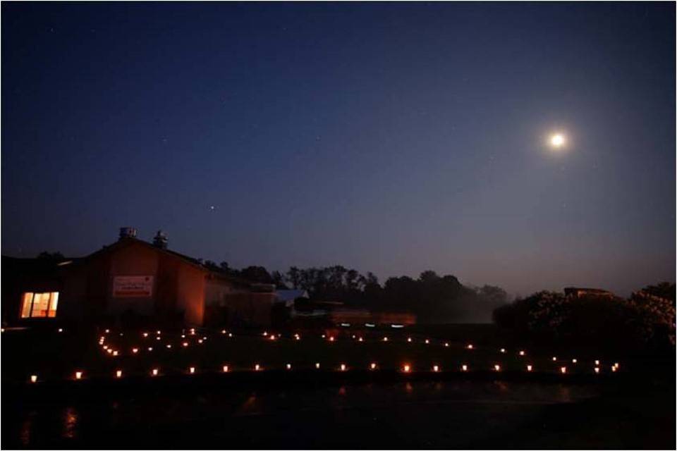 Lawn at Night