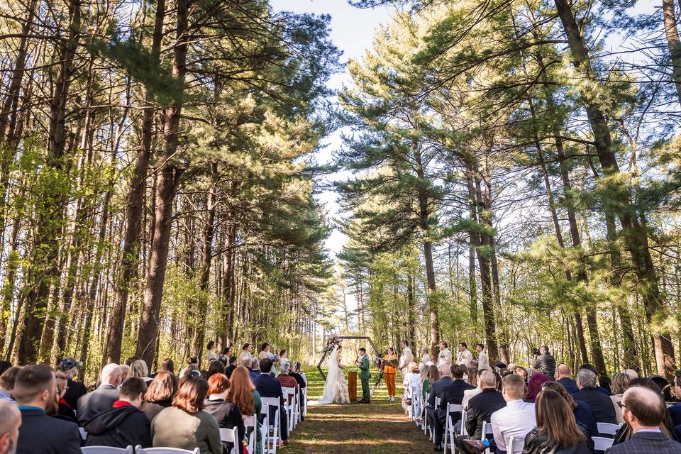 Chicago wedding photographer