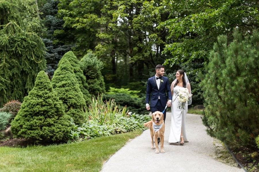 TWA Wedding dog