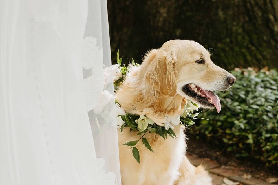 Stone Floral Design Studio