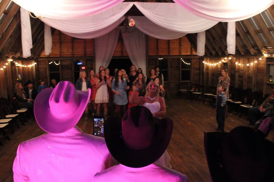 Best Wedding DJ in Springfield