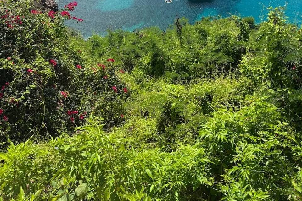 Caribbean