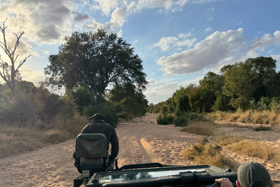 Africa