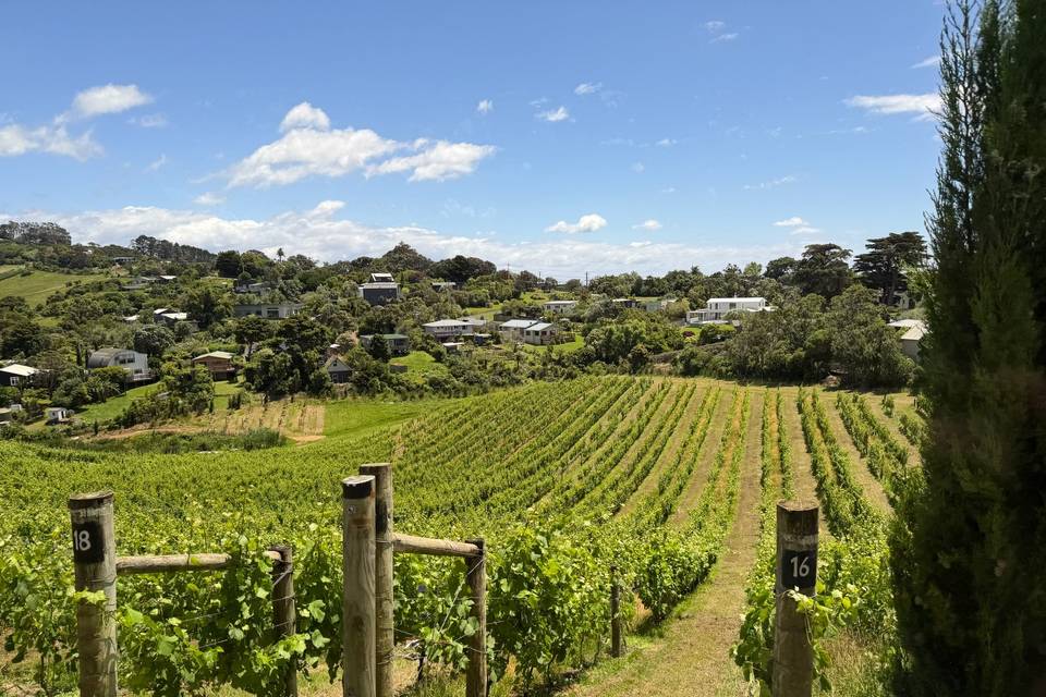 New Zealand