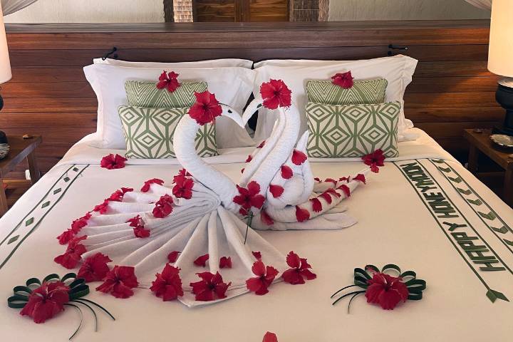 Happy Honeymoon