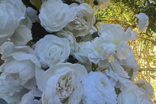 Luxe close up