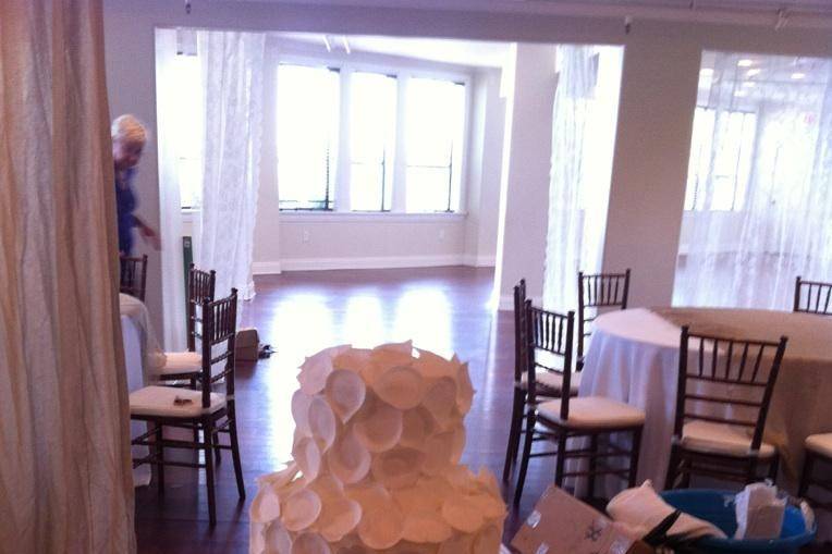 The Marshmallow Willow