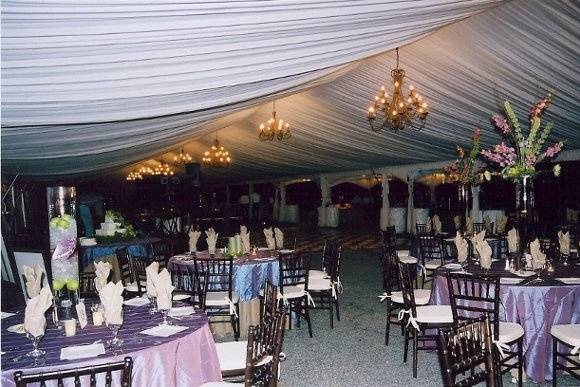 Professional Party Rentals