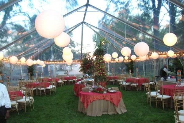 Professional Party Rentals