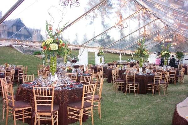 Professional Party Rentals