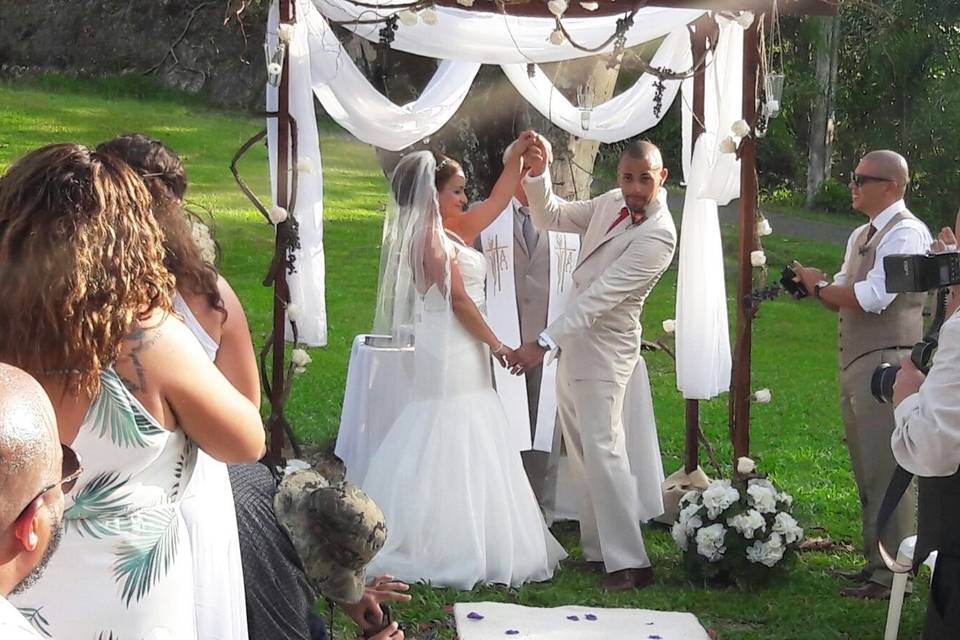 Wedding in the breadfruit tree