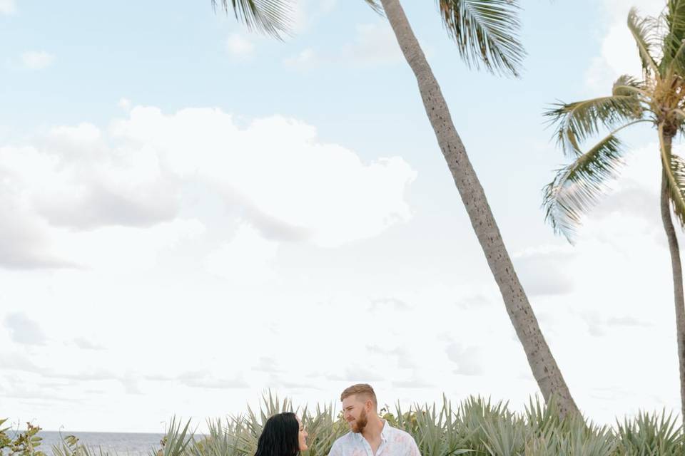 Gloria Bloise Photography