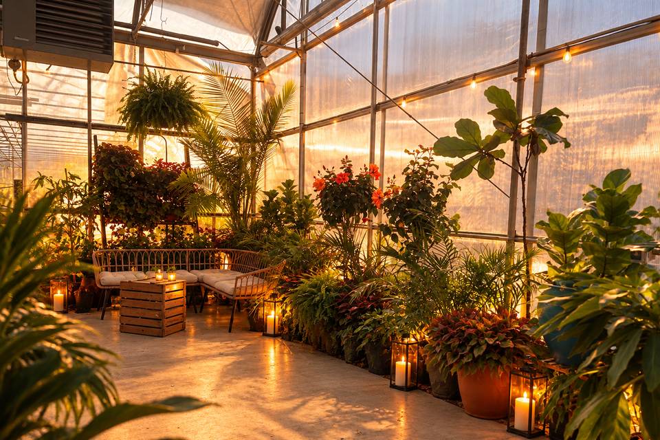 Beautiful Plants