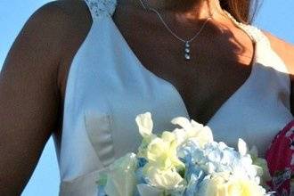 Barefoot To Elegant Wedding Officiants of South and Central Florida