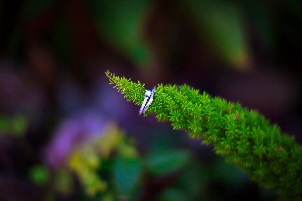 Priscila Matei Photography