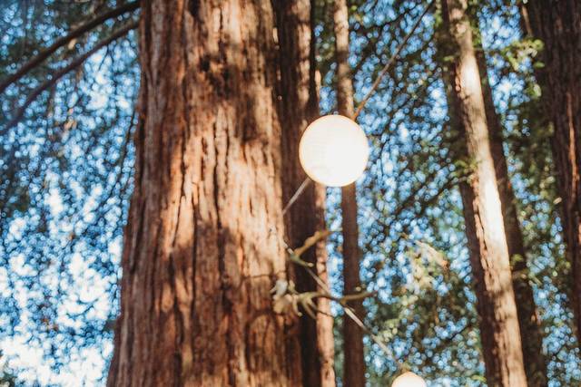 Sebastopol, CA