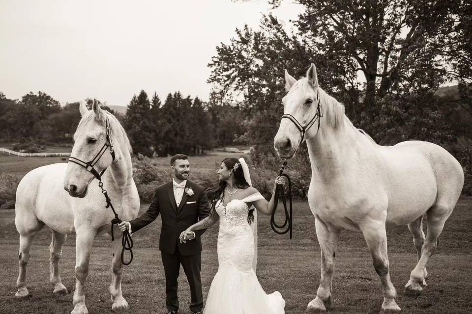 Post Wedding
