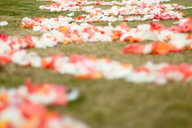 Outdooor wedding setting