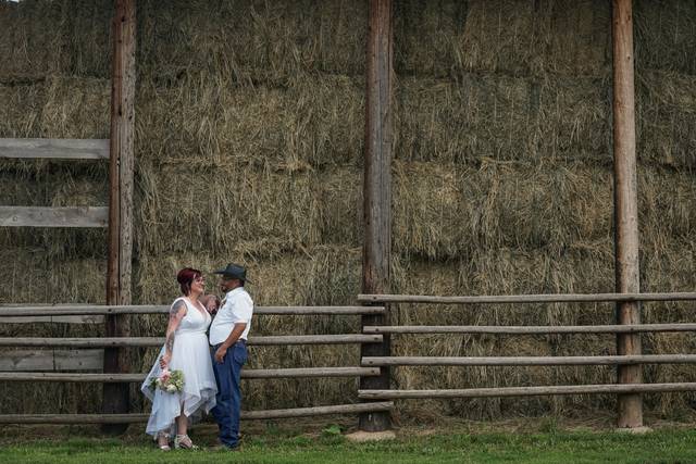 Nicholas Coe Photography