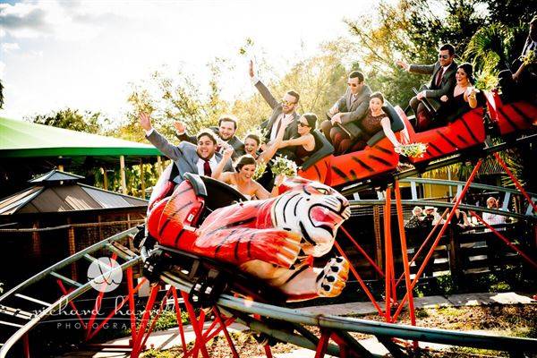 Wedding party on tiger coaster