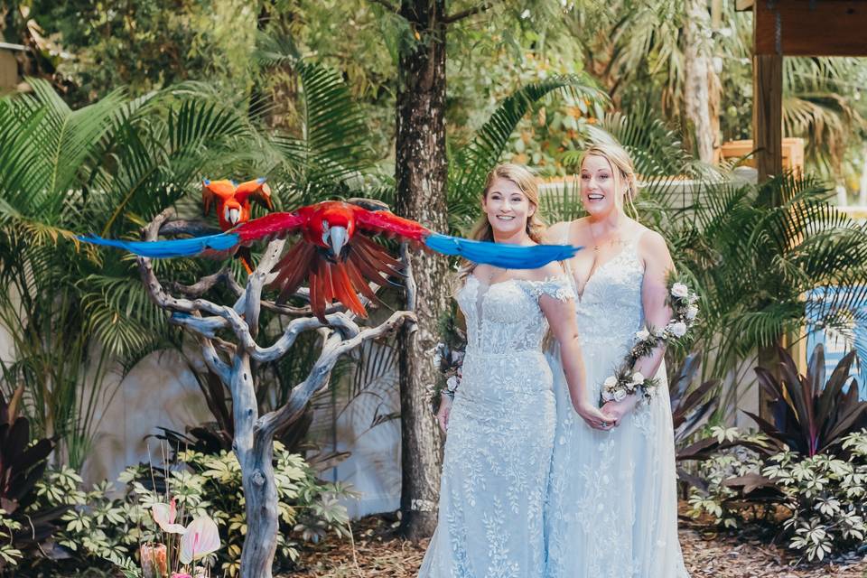 Brides meet new friends