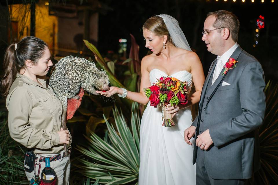 Bride and Groom with Porcupine