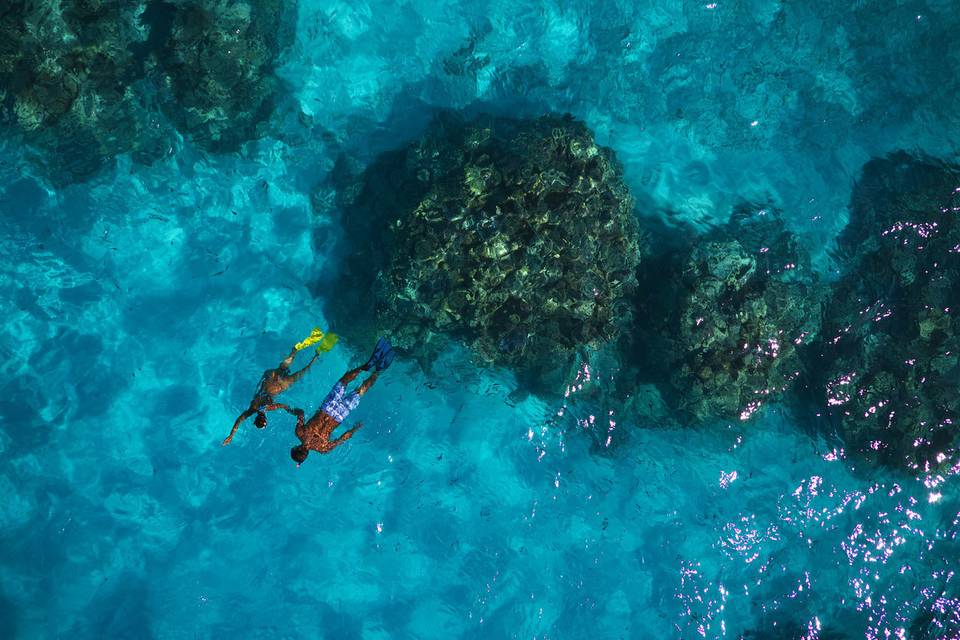 Snorkeling the crystal clear waters of Bora Bora's lagoon | Honeymoons by Tahiti.com