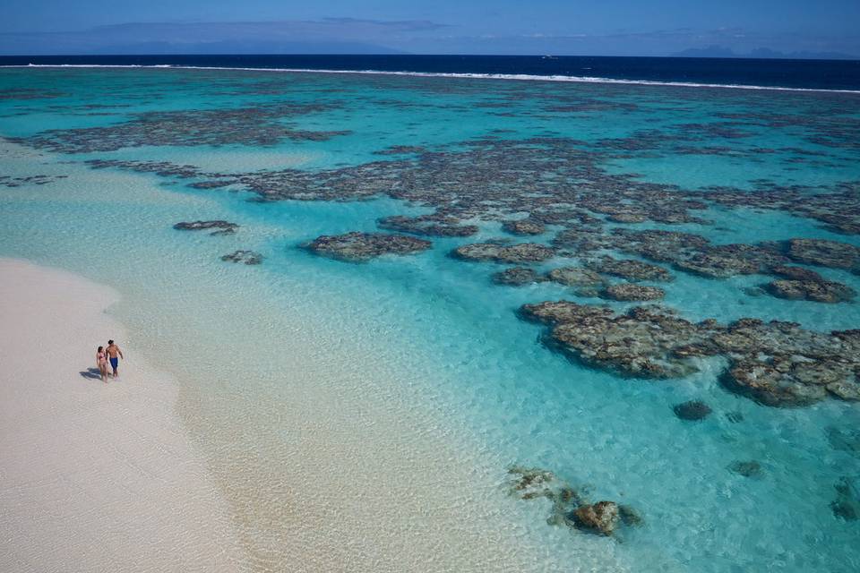 A private walk along Mermaid Bay at The Brando, Tahiti`s only 5-star eco-resort | Honeymoons by Tahiti.com