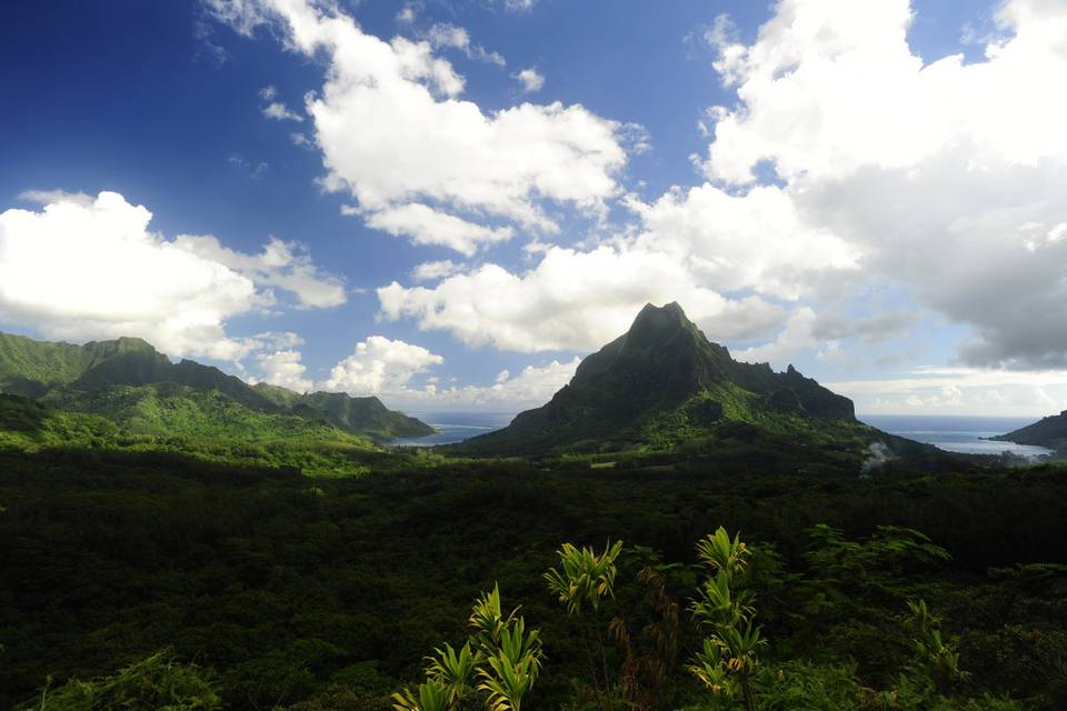 Amazing vista of Moorea at the Belvedere | Honeymoons by Tahiti.com