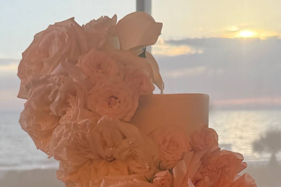 Cake dreams