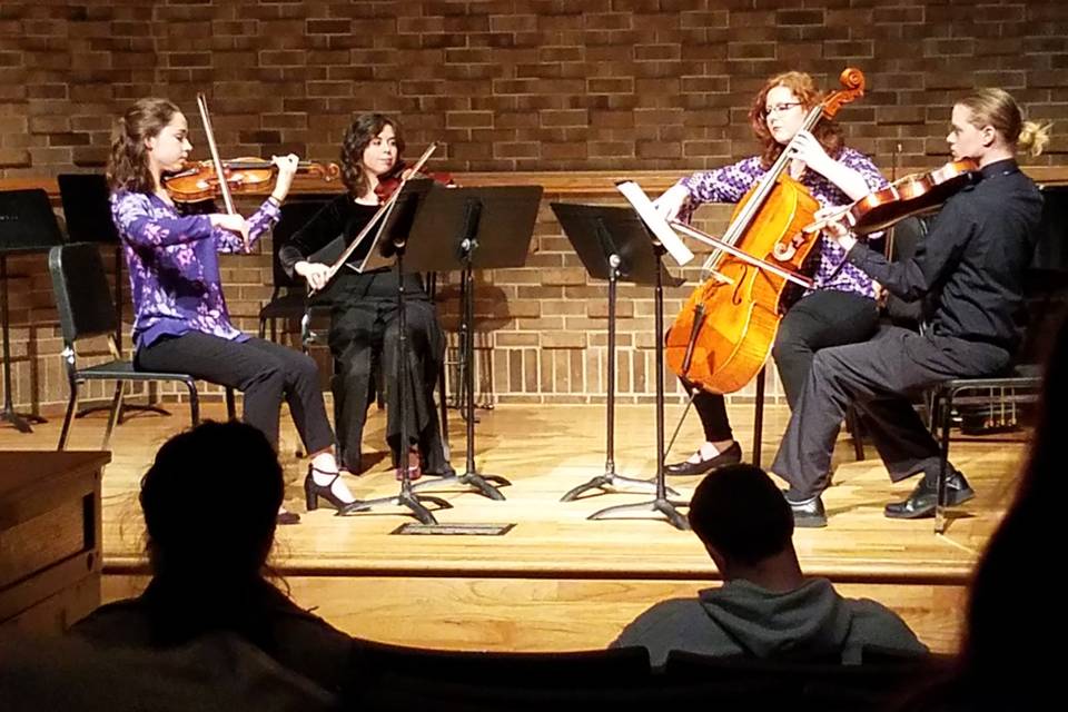 Otterbachs String Quartet