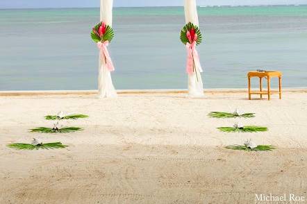 Signature Belize Weddings
