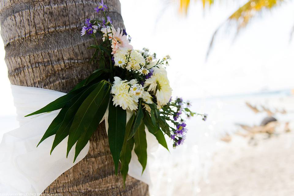 Signature Belize Weddings