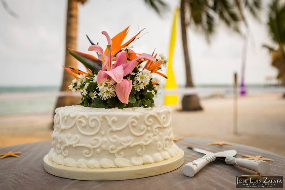 Signature Belize Weddings