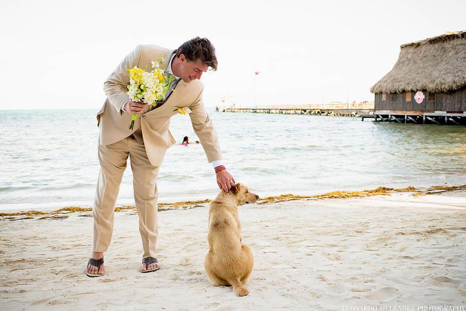 Signature Belize Weddings