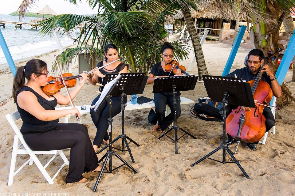 Signature Belize Weddings