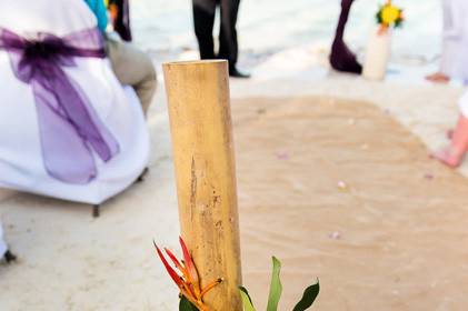 Signature Belize Weddings