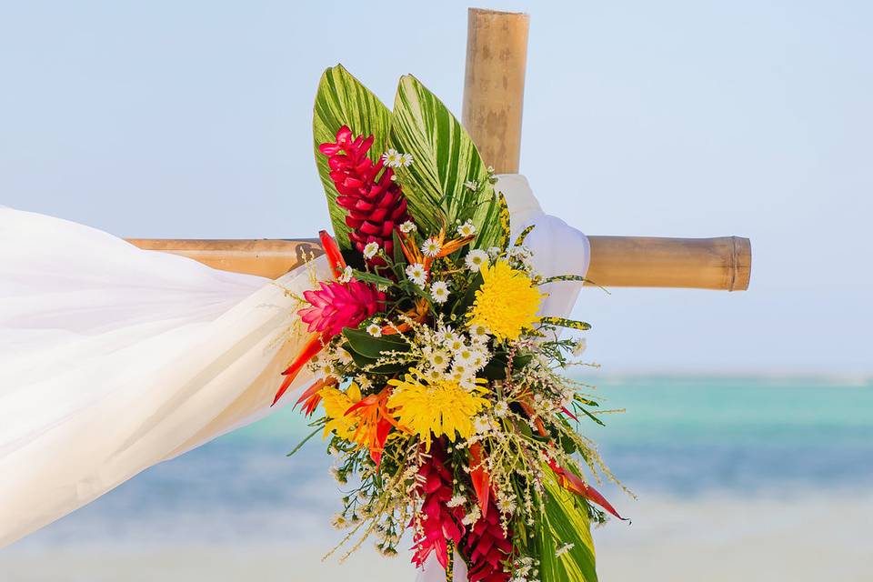 Signature Belize Weddings