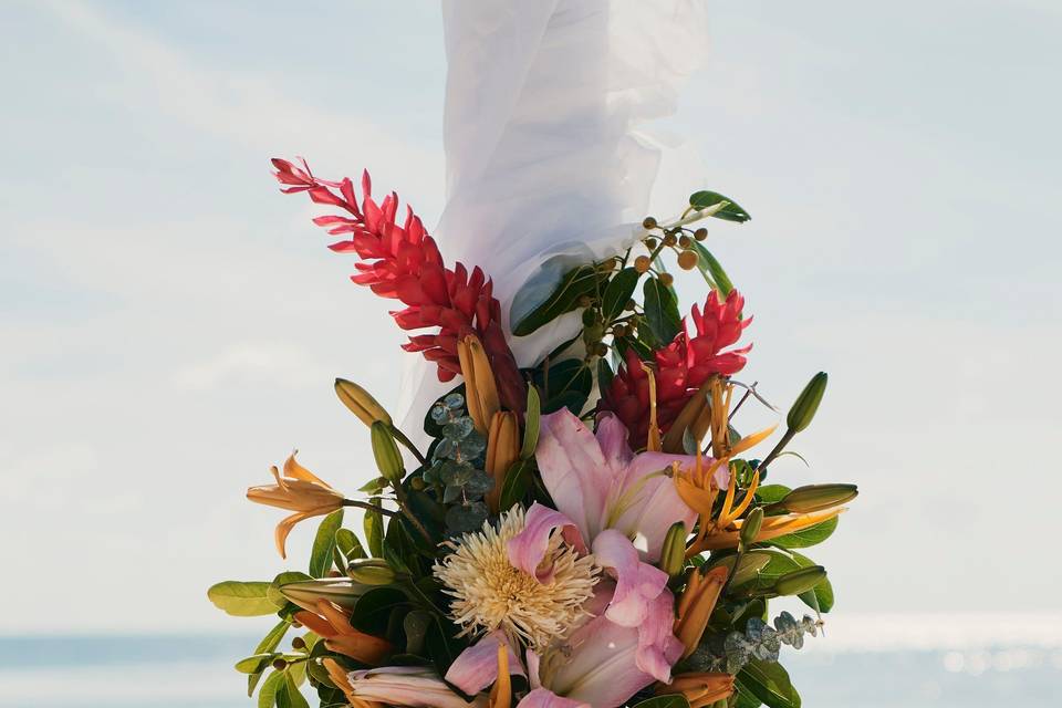 Tropical Flowers