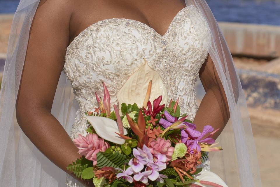 Signature Belize Weddings